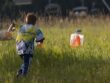 sport-grassland-grass-grass-family-meadow-prairie-1629808-pxhere.com
